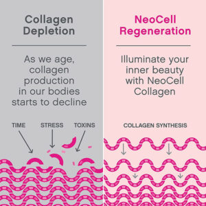 فوائد نيوسيل كولاجين بودر | Neocell Collagen Powder Benefits